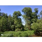 Zdjęcia użytkowników Xiaomi Redmi Note 5 AI Dual Camera Zdjęcia użytkowników Xiaomi Redmi Note 5 AI Dual Camera