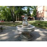 Zdjęcia użytkowników Xiaomi Redmi Note 5 AI Dual Camera Zdjęcia użytkowników Xiaomi Redmi Note 5 AI Dual Camera