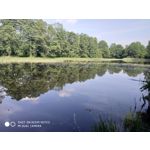 Zdjęcia użytkowników Xiaomi Redmi Note 5 AI Dual Camera Zdjęcia użytkowników Xiaomi Redmi Note 5 AI Dual Camera