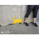 Zdjęcia użytkowników Xiaomi Redmi Note 5 AI Dual Camera Zdjęcia użytkowników Xiaomi Redmi Note 5 AI Dual Camera