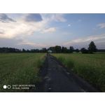 Zdjęcia użytkowników Xiaomi Redmi Note 5 AI Dual Camera Zdjęcia użytkowników Xiaomi Redmi Note 5 AI Dual Camera