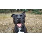 Zdjęcia użytkowników Xiaomi Redmi Note 5 Pro Zdjęcia użytkowników Xiaomi Redmi Note 5 Pro