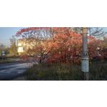 Zdjęcia użytkowników Xiaomi Redmi Note 5 Pro Zdjęcia użytkowników Xiaomi Redmi Note 5 Pro