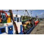 Zdjęcia użytkowników Xiaomi Redmi Note 5 Pro Zdjęcia użytkowników Xiaomi Redmi Note 5 Pro