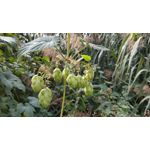 Zdjęcia użytkowników Xiaomi Redmi Note 5 Pro Zdjęcia użytkowników Xiaomi Redmi Note 5 Pro