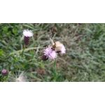 Zdjęcia użytkowników Xiaomi Redmi Note 5 Pro Zdjęcia użytkowników Xiaomi Redmi Note 5 Pro