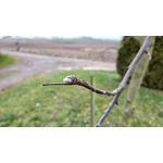 Zdjęcia użytkowników Xiaomi Redmi Note 5 Pro Zdjęcia użytkowników Xiaomi Redmi Note 5 Pro