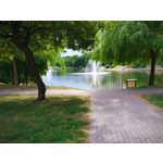 Zdjęcia użytkowników Xiaomi Redmi Note 5 Pro Zdjęcia użytkowników Xiaomi Redmi Note 5 Pro