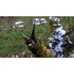 Zdjęcia użytkowników Xiaomi Redmi Note 5 Pro Zdjęcia użytkowników Xiaomi Redmi Note 5 Pro