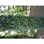 Zdjęcia użytkowników Xiaomi Redmi Note 5 Pro Zdjęcia użytkowników Xiaomi Redmi Note 5 Pro