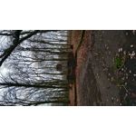 Zdjęcia użytkowników Xiaomi Redmi Note 6 Pro Zdjęcia użytkowników Xiaomi Redmi Note 6 Pro