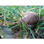 Zdjęcia użytkowników Xiaomi Redmi Note 6 Pro Zdjęcia użytkowników Xiaomi Redmi Note 6 Pro