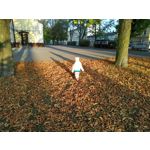 Zdjęcia użytkowników Xiaomi Redmi Note 6 Pro Zdjęcia użytkowników Xiaomi Redmi Note 6 Pro