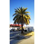 Zdjęcia użytkowników Xiaomi Redmi Note 6 Pro Zdjęcia użytkowników Xiaomi Redmi Note 6 Pro