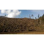 Zdjęcia użytkowników Xiaomi Redmi Note Zdjęcia użytkowników Xiaomi Redmi Note