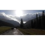 Zdjęcia użytkowników Xiaomi Redmi Note Zdjęcia użytkowników Xiaomi Redmi Note