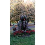 Zdjęcia użytkowników Xiaomi Redmi Note Zdjęcia użytkowników Xiaomi Redmi Note