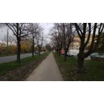 Zdjęcia użytkowników Xiaomi Redmi Pro