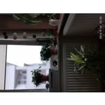 ZDJĘCIA Z TEGO TELEFONU