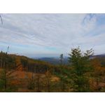 ZDJĘCIA Z TEGO TELEFONU