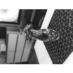 ZDJĘCIA Z TEGO TELEFONU