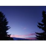 ZDJĘCIA Z TEGO TELEFONU