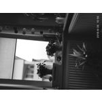 Zdjęcia użytkowników Xiaomi Redmi S2