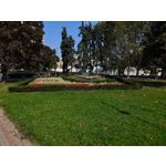 Zdjęcia użytkowników Xiaomi 14T Pro