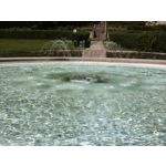 Zdjęcia użytkowników Xiaomi 14T