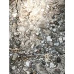 Zdjęcia użytkowników Xiaomi 14T