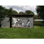 Zdjęcia użytkowników Xiaomi 14T