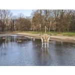 Zdjęcia użytkowników Xiaomi 15 Ultra