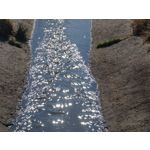 Zdjęcia użytkowników Xiaomi 15 Ultra