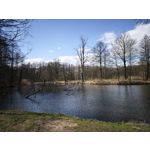 Zdjęcia użytkowników Xiaomi 15 Ultra