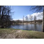 Zdjęcia użytkowników Xiaomi 15 Ultra