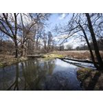 Zdjęcia użytkowników Xiaomi 15 Ultra