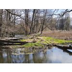 Zdjęcia użytkowników Xiaomi 15 Ultra