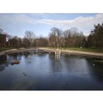 Zdjęcia użytkowników Xiaomi 15 Ultra