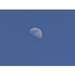 Zdjęcia użytkowników Xiaomi 15 Ultra