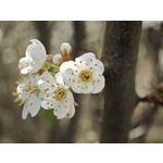 ZDJĘCIA Z TEGO TELEFONU