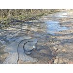 Zdjęcia użytkowników Xiaomi 15 Ultra