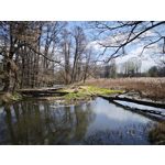 Zdjęcia użytkowników Xiaomi 15 Ultra