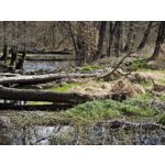 Zdjęcia użytkowników Xiaomi 15 Ultra