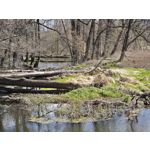 Zdjęcia użytkowników Xiaomi 15 Ultra