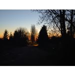 Zdjęcia użytkowników Xiaomi 15 Ultra