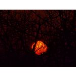 Zdjęcia użytkowników Xiaomi 15 Ultra