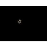 Zdjęcia użytkowników Xiaomi 15 Ultra