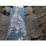 Zdjęcia użytkowników Xiaomi 15 Ultra