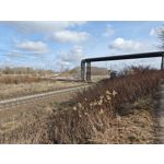 Zdjęcia użytkowników Xiaomi 15 Ultra