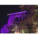 Zdjęcia użytkowników Xiaomi 15